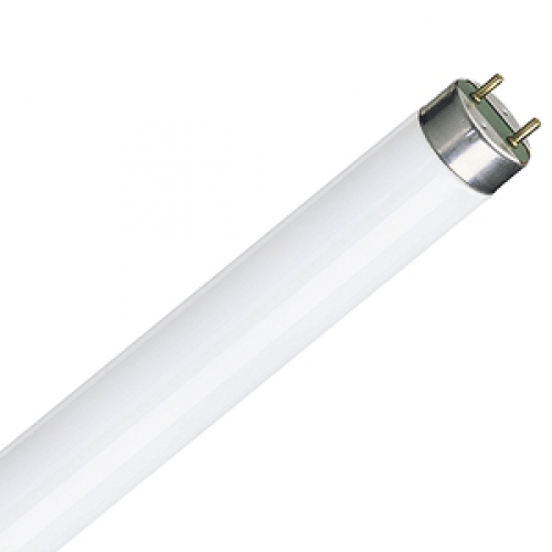 T8 or G13 Fluorescent Tubes