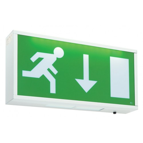 Emergency Lights - Maintained Exit Box