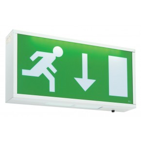 Emergency Lights - Maintained Exit Box
