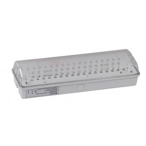 Wall lights RA Emergency LED Bulkhead lights 240V